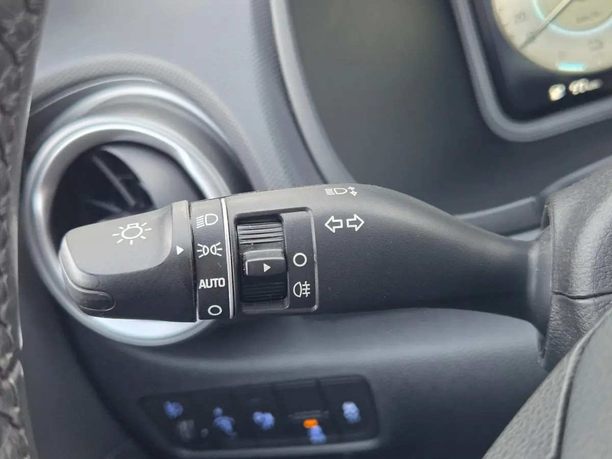 EV Comfort 39 kWh 39kWH 3-fase Cruise control / 39kWH 3-fase / bochtverlichting