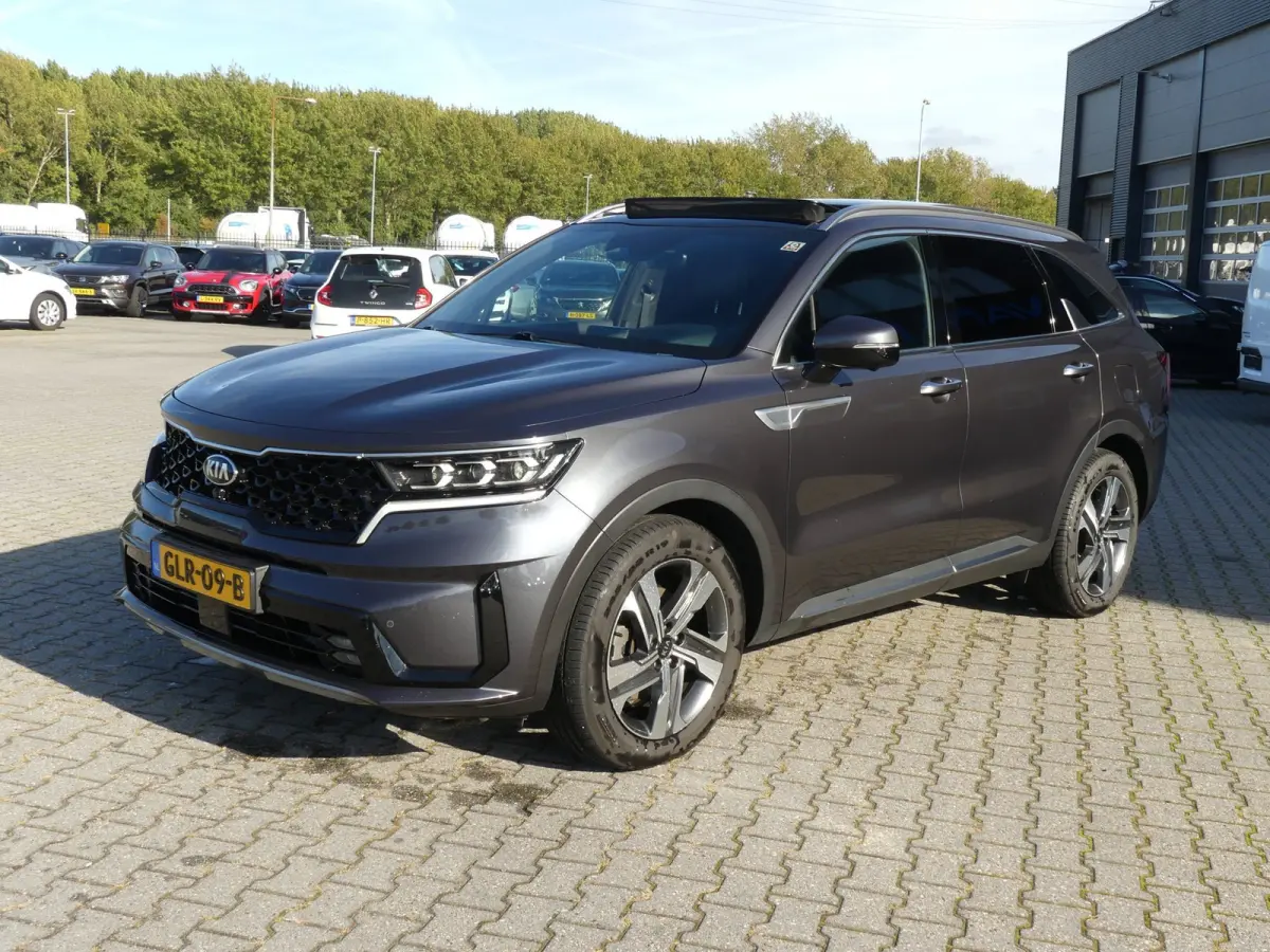 1.6 T-GDI PHEV 5 PERS. 4WD ExecutiveLine / PANO / BOSE