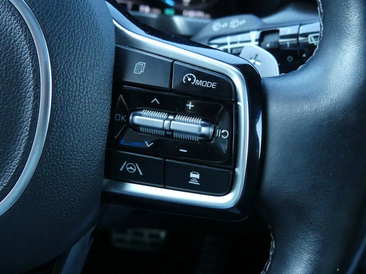 1.6 T-GDI PHEV 5 PERS. 4WD ExecutiveLine / PANO / BOSE