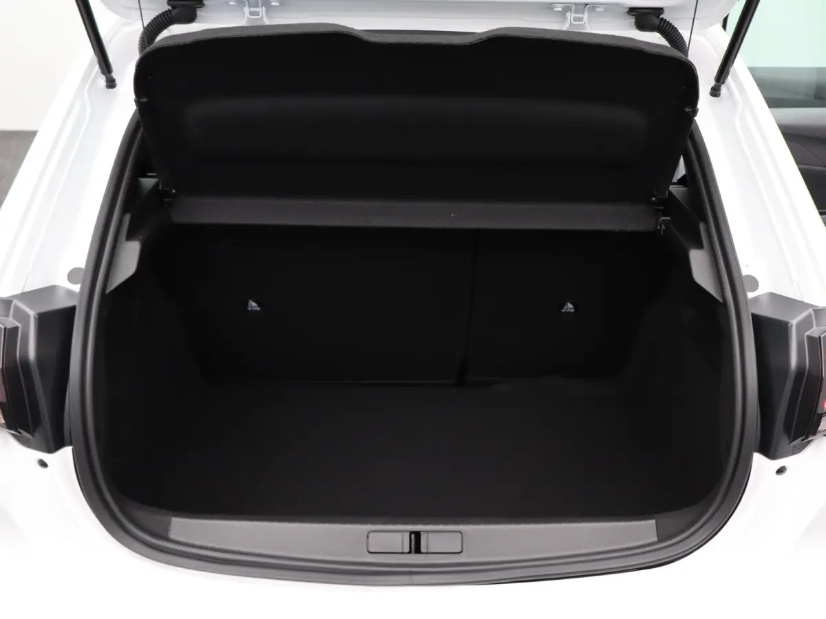 1.2 Hybrid 110 e-DCS6 Style Navi | Cruise Control | Sensoren achter | Apple Carplay/Android Auto |