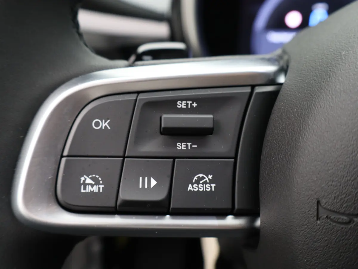 1.2 Hybrid Icon | Automaat | Carplay | Cruise | Clima | Navi | 17"LMV | PDC V+A |