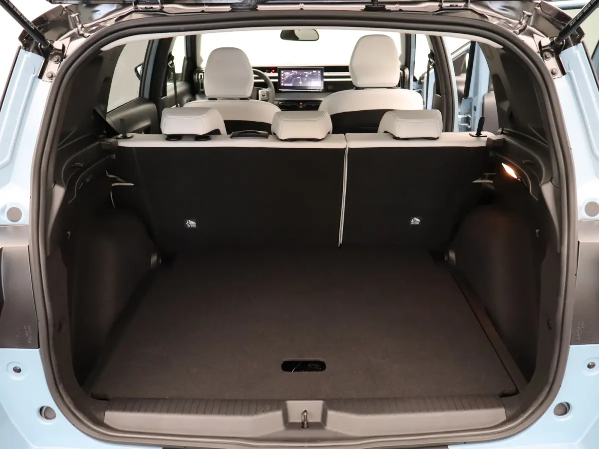 Max 113pk Comfort Range 44 kWh | 100% SOH | 8 jaar garantie | Carplay | Camera | Cruise | Clima | PDC V+A | Navi |