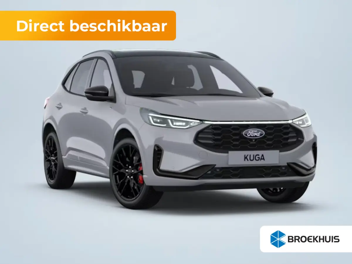 2.5 PHEV ST-Line X | Achterbank verwarmd | Achteruitrijcamera | Bang & Olufsen High Performance audiosysteem (10 speakers + subwoofer, vermogen 700 Watt)