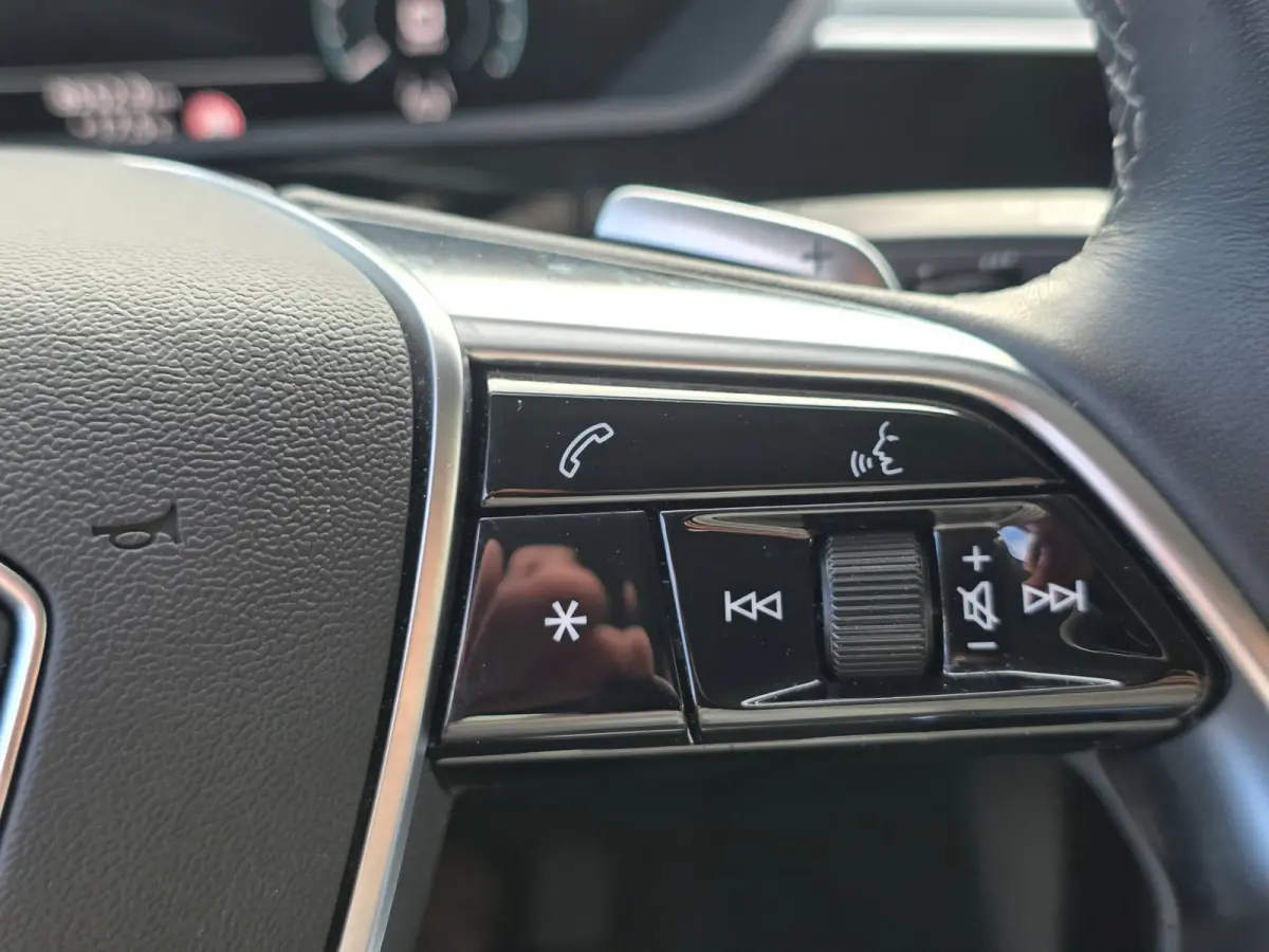 55 quattro Advanced Edition 115 kWh | LEDER | STOELVERWARMING | CAMERA