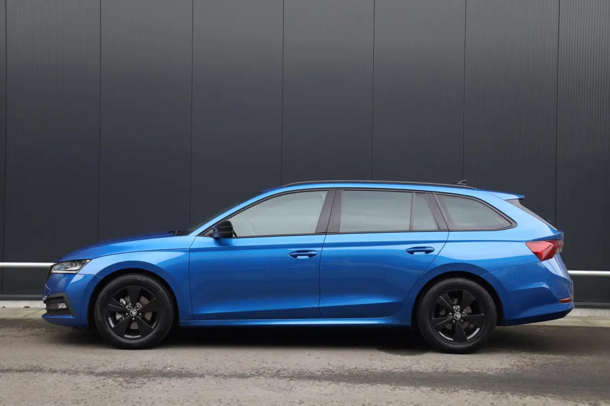 1.0 TSI 110pk Sport Business Stoelverwarming Trekhaak 1e Eigenaar Clima Cruise NL-Auto!