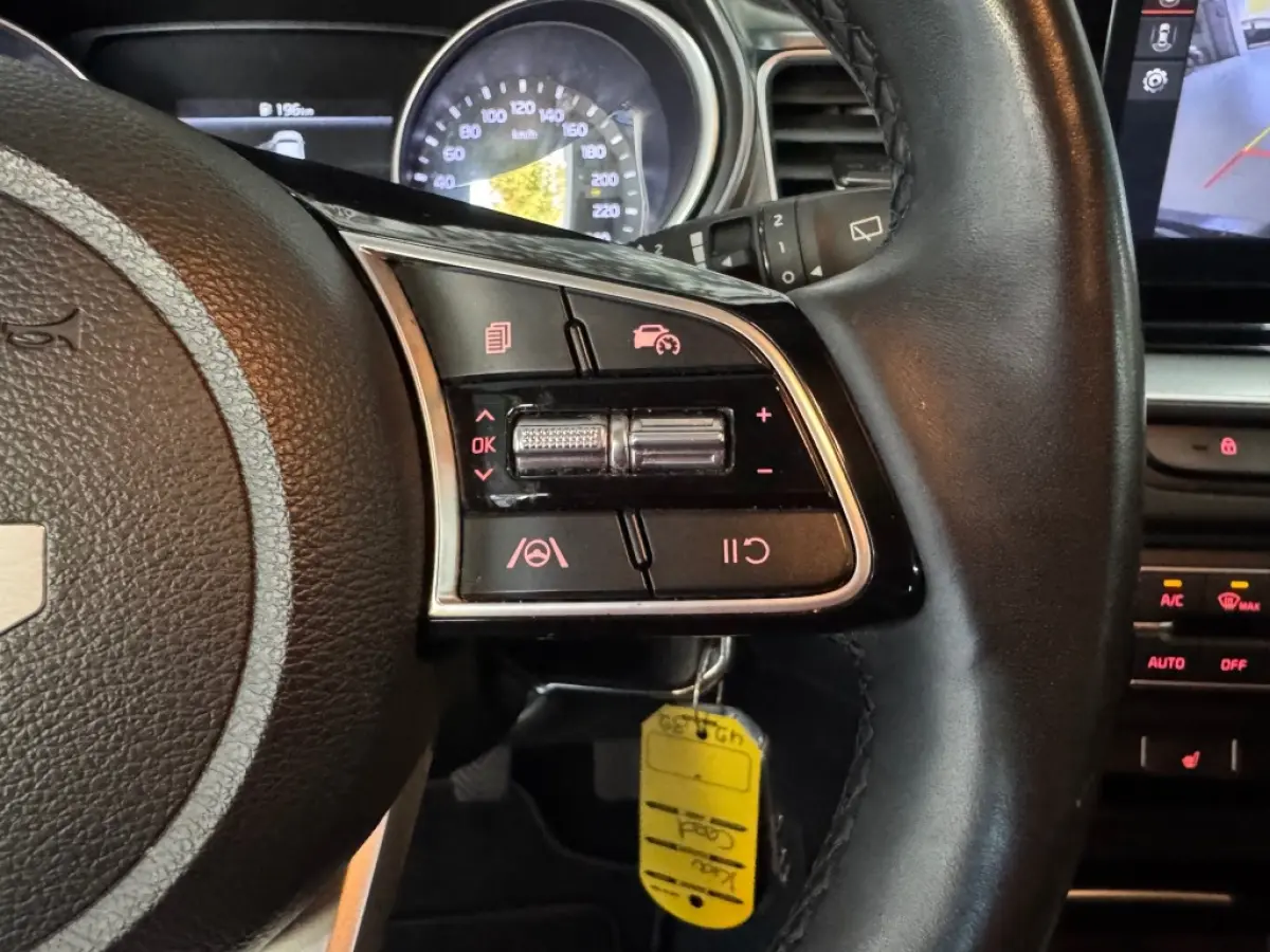 Sportswagon 1.0 T-GDI DynamincPlusLine / Full-LED / Apple Carplay / Android Auto / Geblindeerde achterruiten.