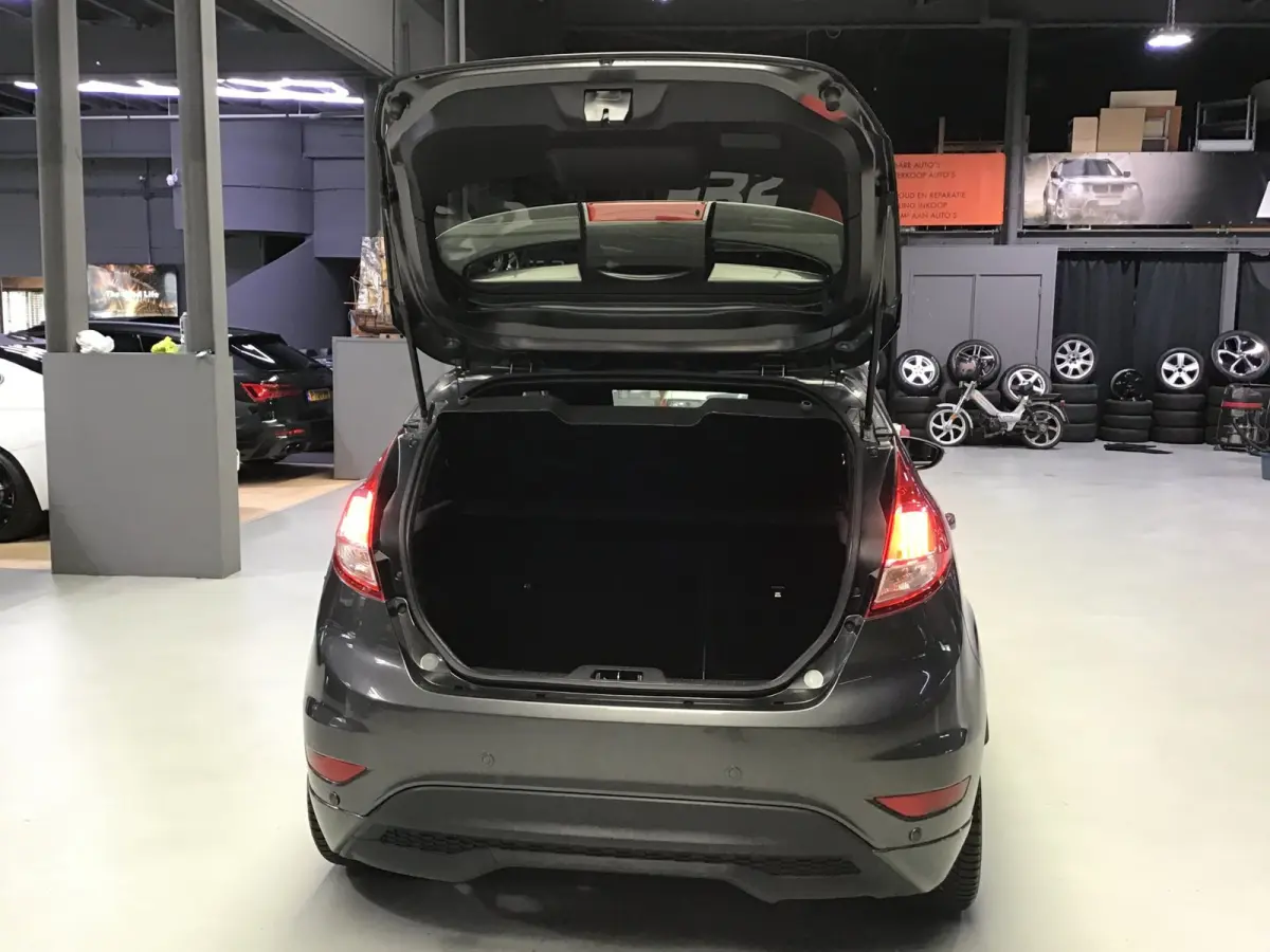 1.0 EcoBoost ST Line I Dealer Onderh. I Navi I Clima I Cruise I Led I 17inch I Park. sens I Getint Glas I Nette Auto.