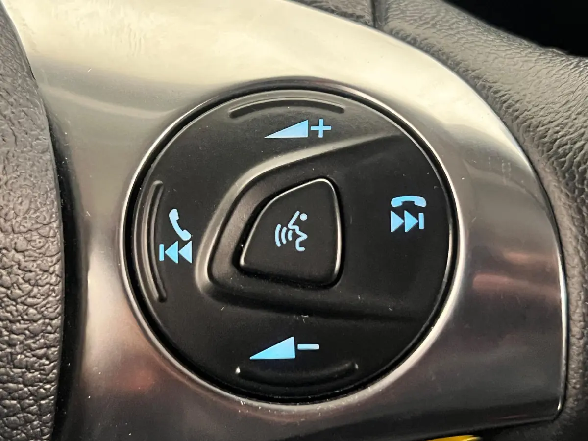 1.5 EcoBlue L2 Trend Automaat Navigatie Airco Parkeersensoren Cruise Control Camera