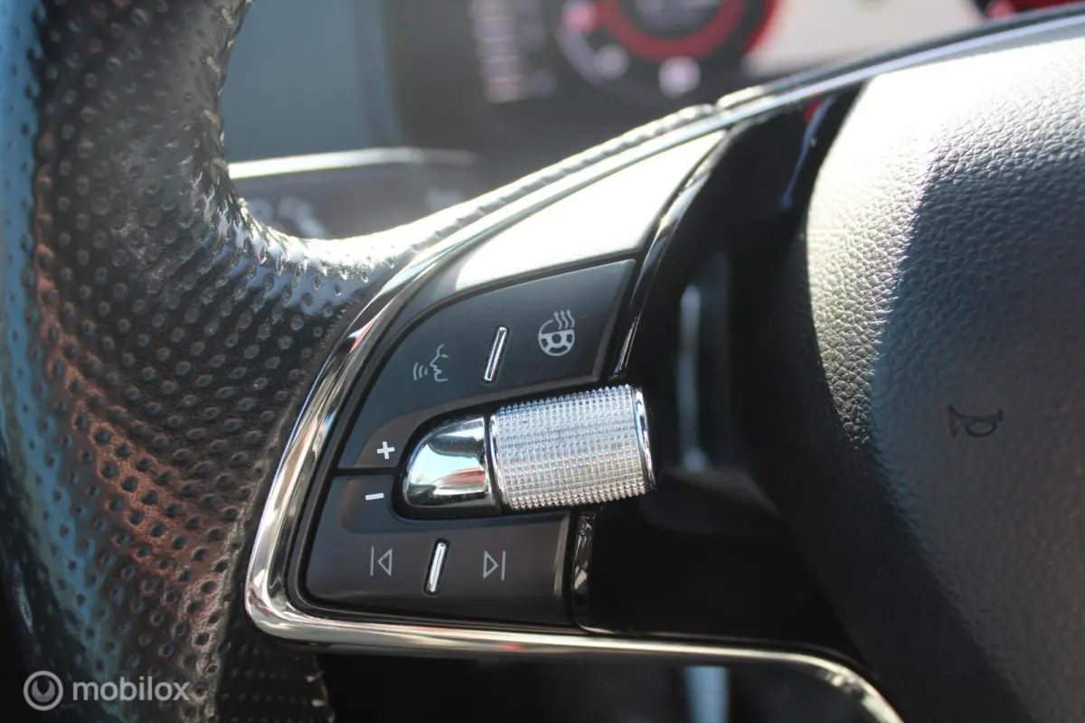 1.5 TSI ACT Sportline Bsns Pano/Canton/ACC/Trekhaak