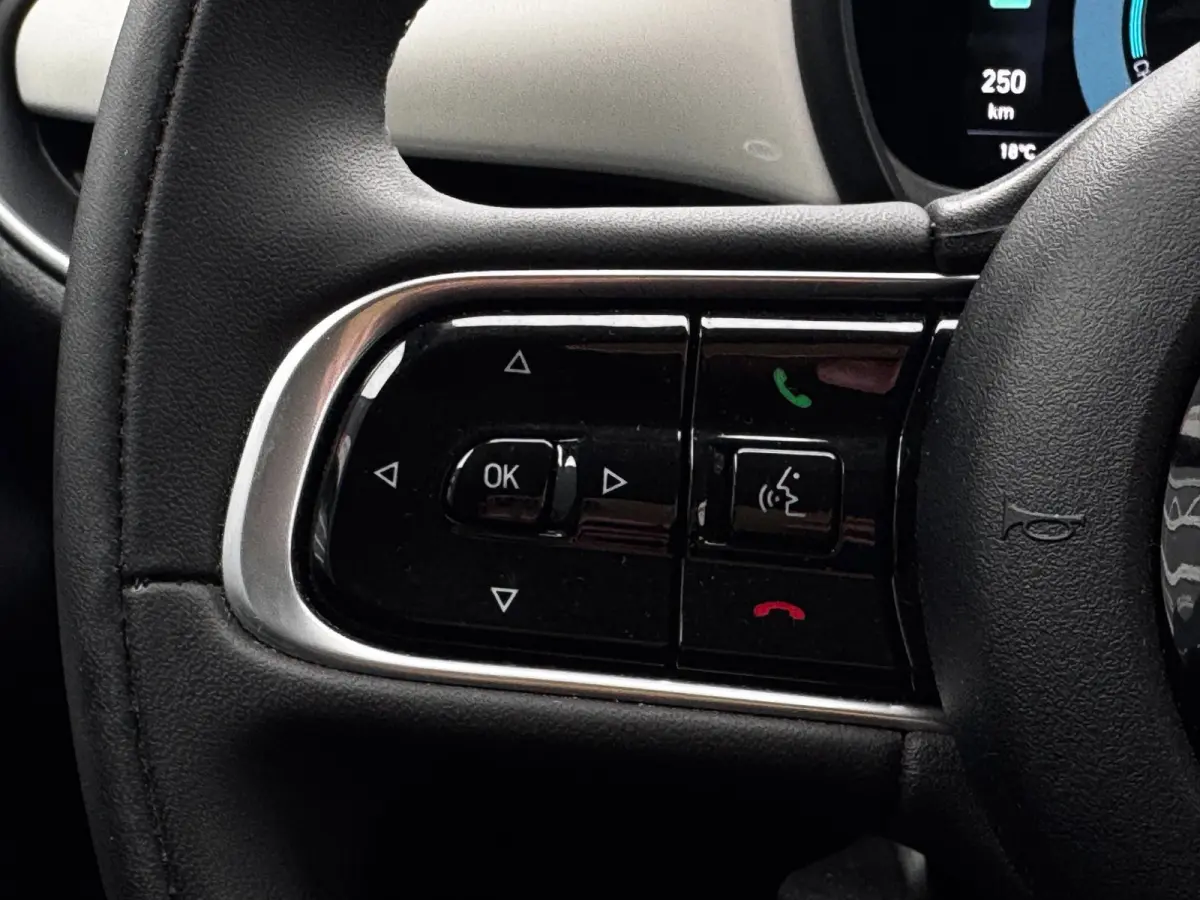 42 kWh | 95% SOH | Navigatie By App | Climate Control | Cruise control | DAB |