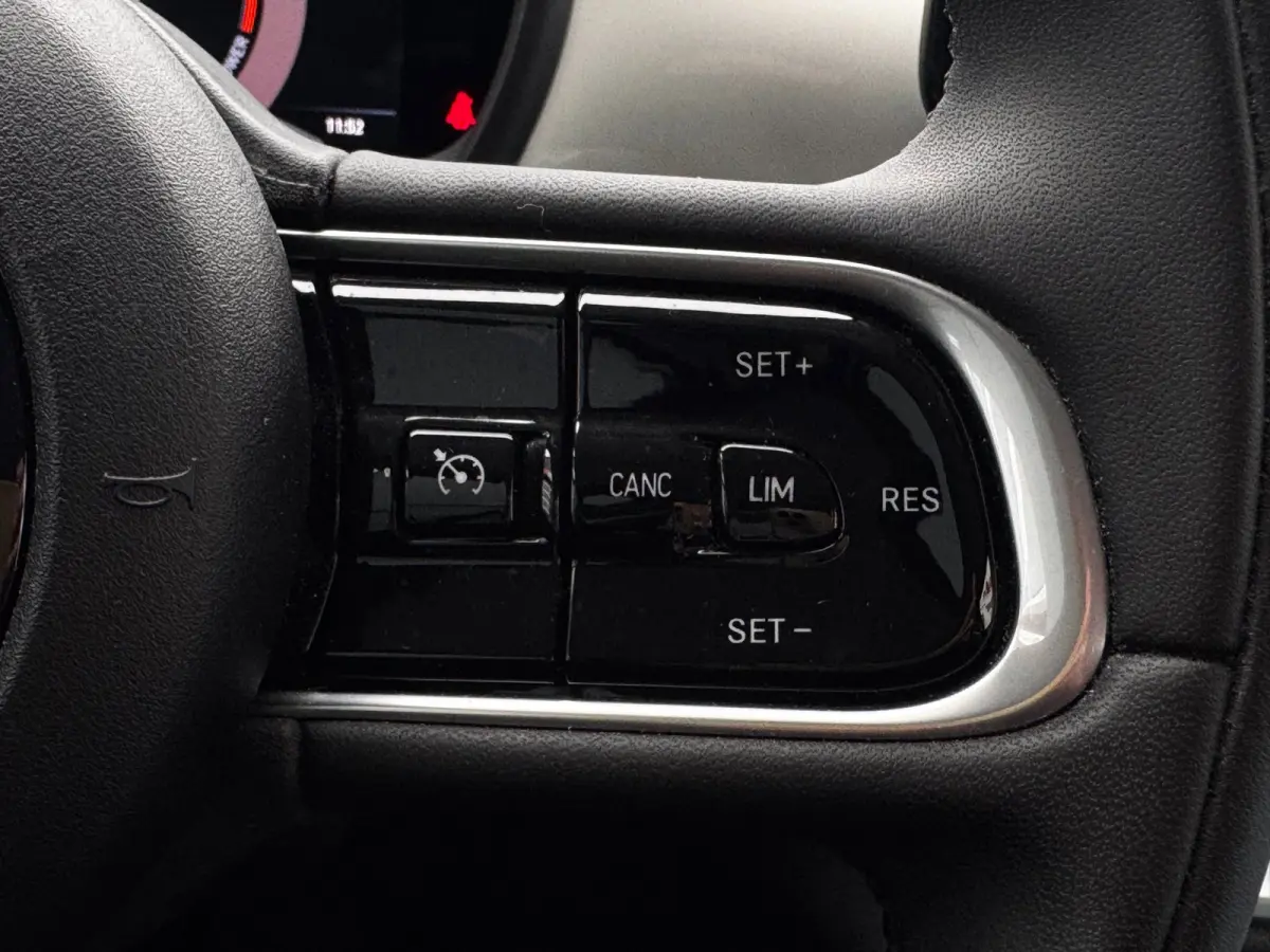 42 kWh | 95% SOH | Navigatie By App | Climate Control | Cruise control | DAB |