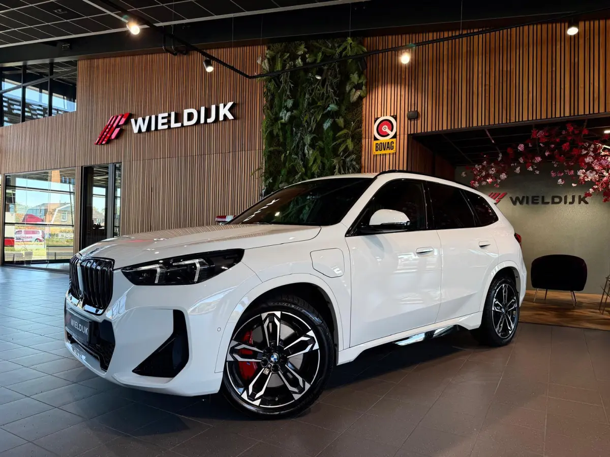 xDrive25e M Sport Pro 360 Camera / HUD / Keyless / M ALcantara Stoel met blauw Stiksel / M Lights Shadow Line