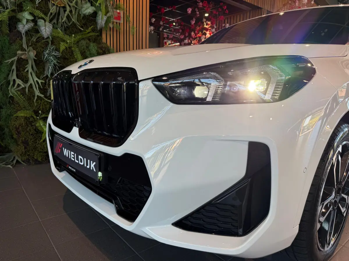 xDrive25e M Sport Pro 360 Camera / HUD / Keyless / M ALcantara Stoel met blauw Stiksel / M Lights Shadow Line