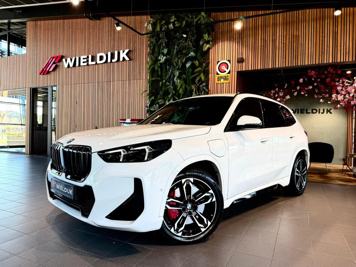 xDrive25e M Sport Pro 360 Camera / HUD / Keyless / M ALcantara Stoel met blauw Stiksel / M Lights Shadow Line