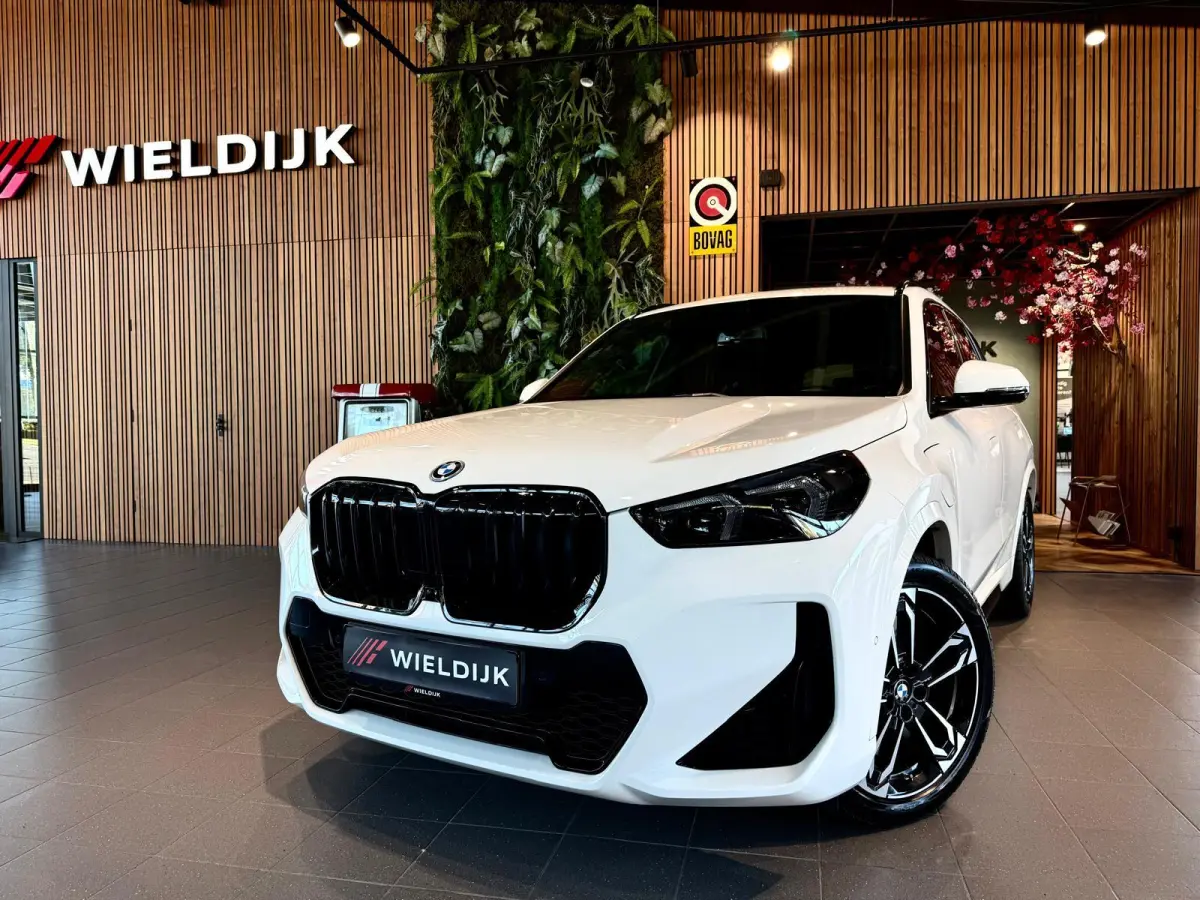xDrive25e M Sport Pro 360 Camera / HUD / Keyless / M ALcantara Stoel met blauw Stiksel / M Lights Shadow Line