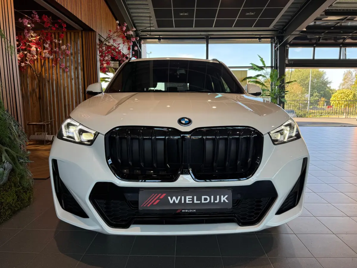 xDrive25e M Sport Pro 360 Camera / HUD / Keyless / M ALcantara Stoel met blauw Stiksel / M Lights Shadow Line