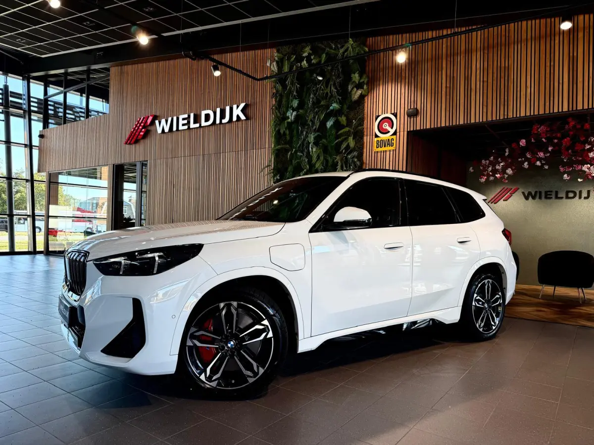 xDrive25e M Sport Pro 360 Camera / HUD / Keyless / M ALcantara Stoel met blauw Stiksel / M Lights Shadow Line