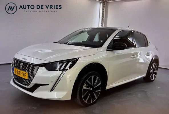 EV GT Pack 50 kWh 3-Fase | Navigatie | Stoelverwarming | Camera