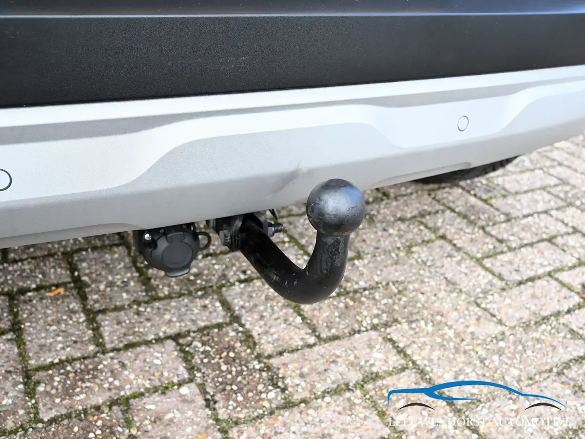1.3 TCe 130 Intens, camera, navi, clima, cruise, pdc, trekhaak 1.500 kg, dealer auto
