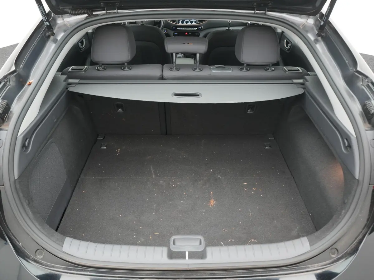 Comfort EV | Achteruitrijcamera | Navigatie | DAB+ | ACC | Lane Assist |