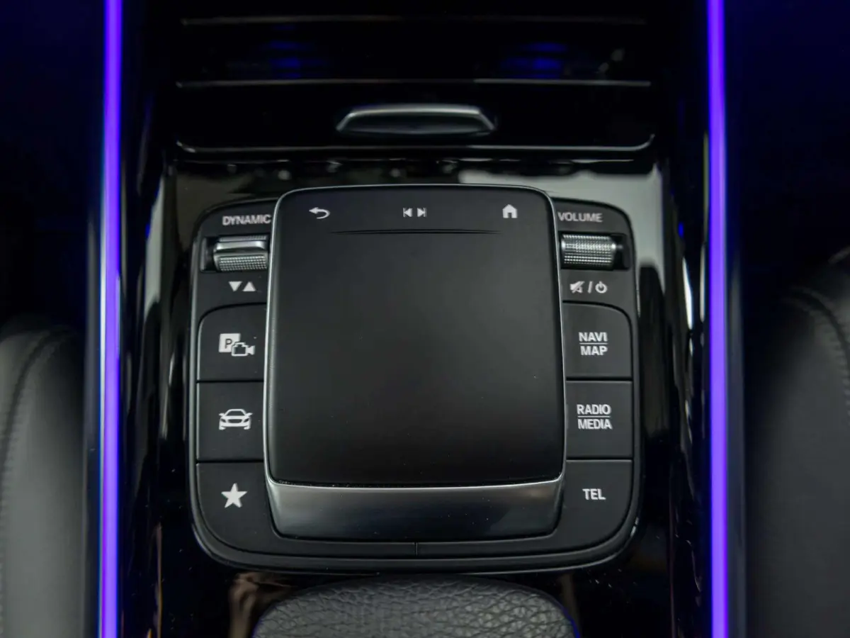 250 Business Solution Luxury 67 kWh | Panorama dak