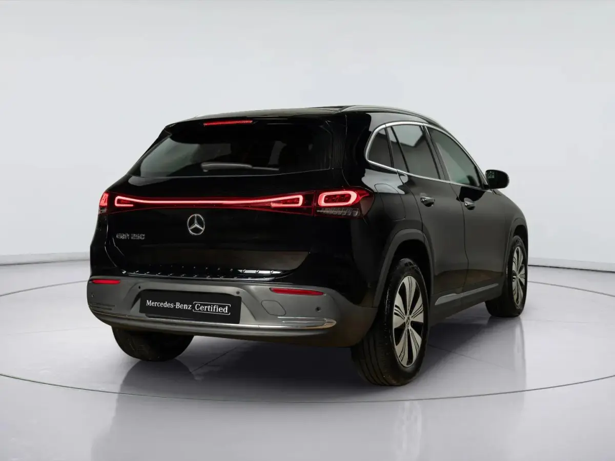250 Business Solution Luxury 67 kWh | Panorama dak