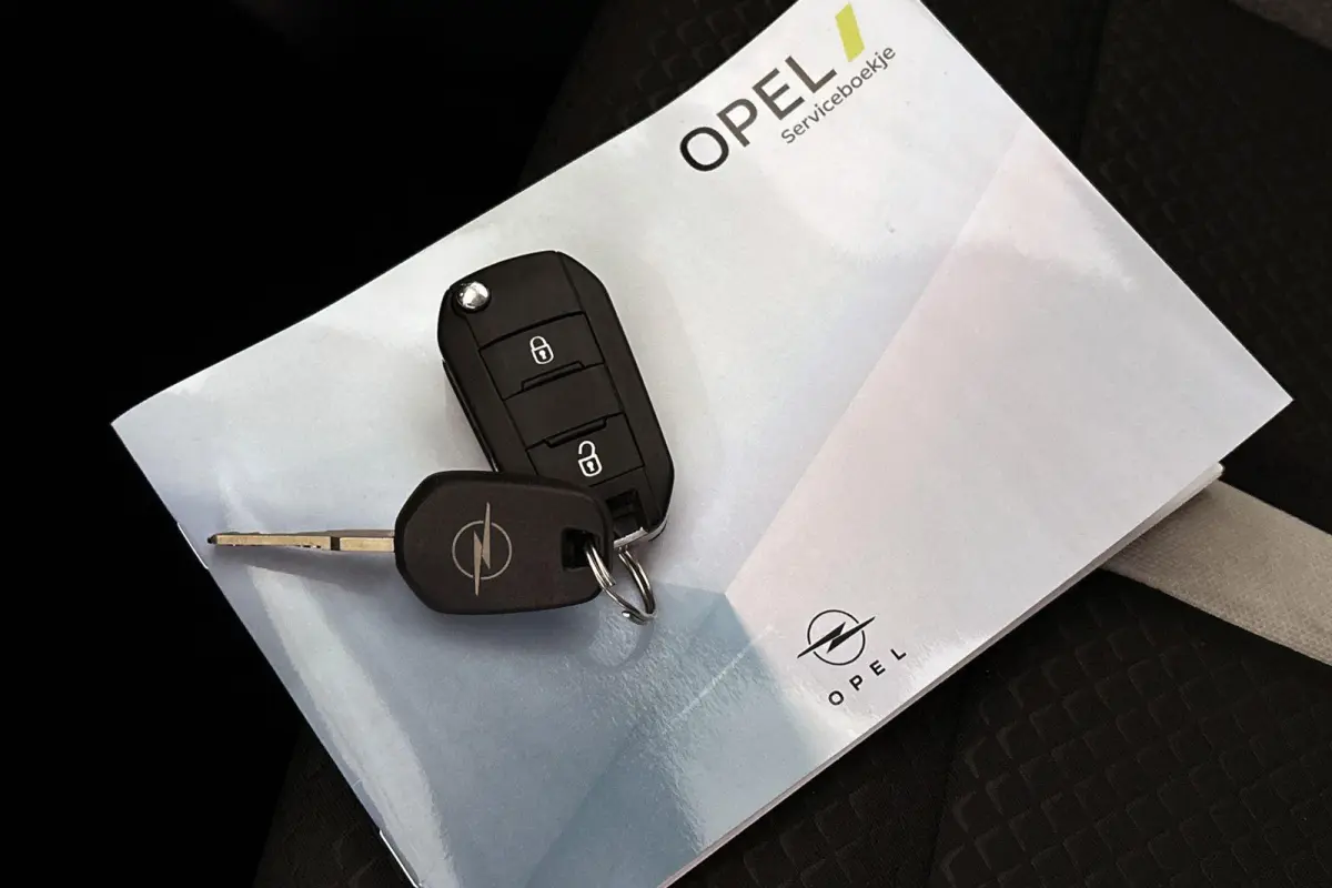 1.2 Turbo Hybrid GS 7p. Camera Climate Control Dodehoek