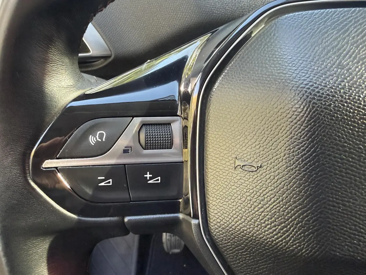 1.2 PureTech Blue Lease Executive | Trekhaak | Navigatie | Apple Carplay | Climate Control | Cruise Control | Licht metalen velgen