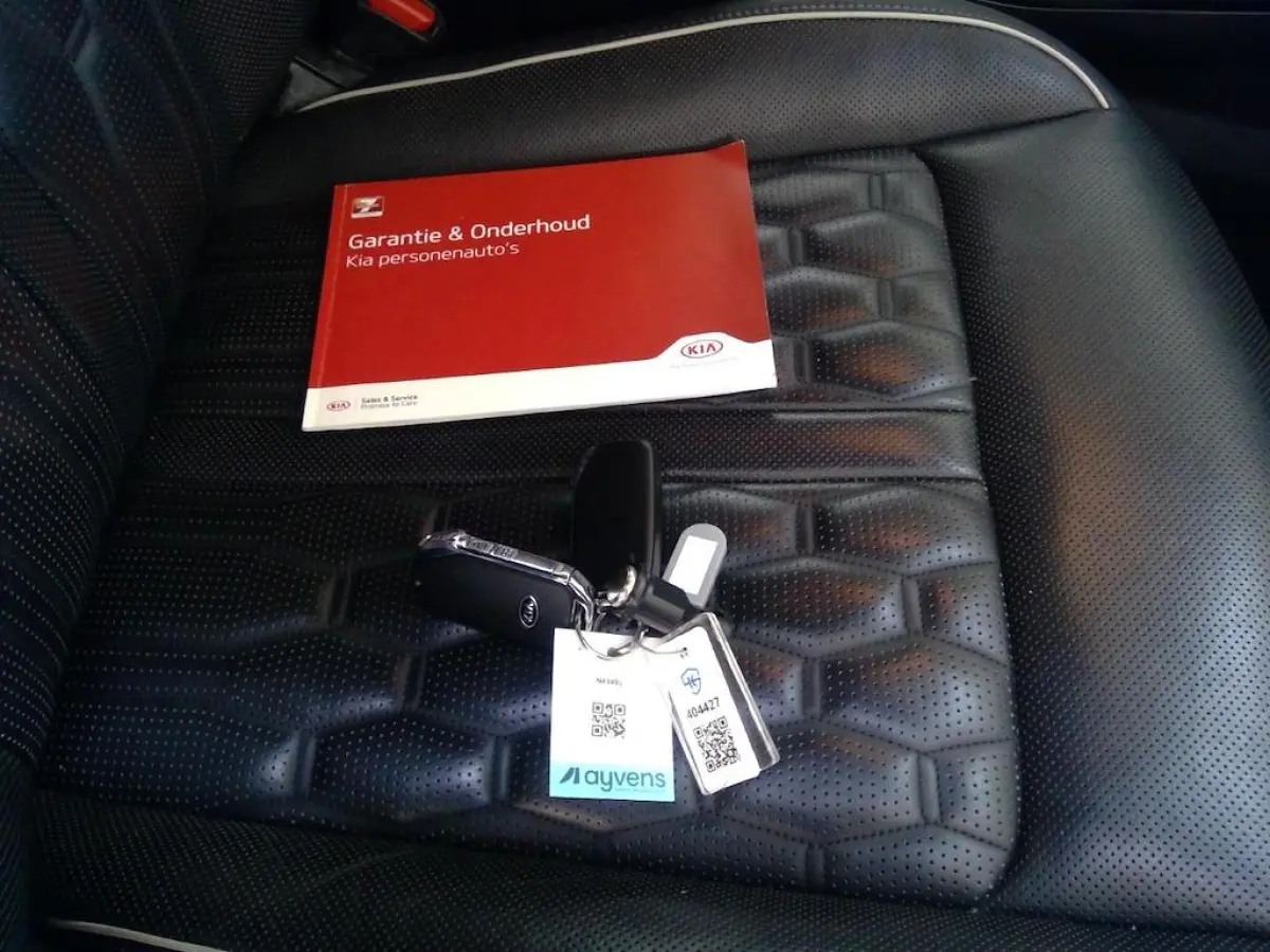 1.6 T-GDI HYBRID 2WD EXECUTIVELINE 7-PERS I LEDEREN BEKLEDING I P-CAMERA I STOELKOELING I APPLE CARPLAY