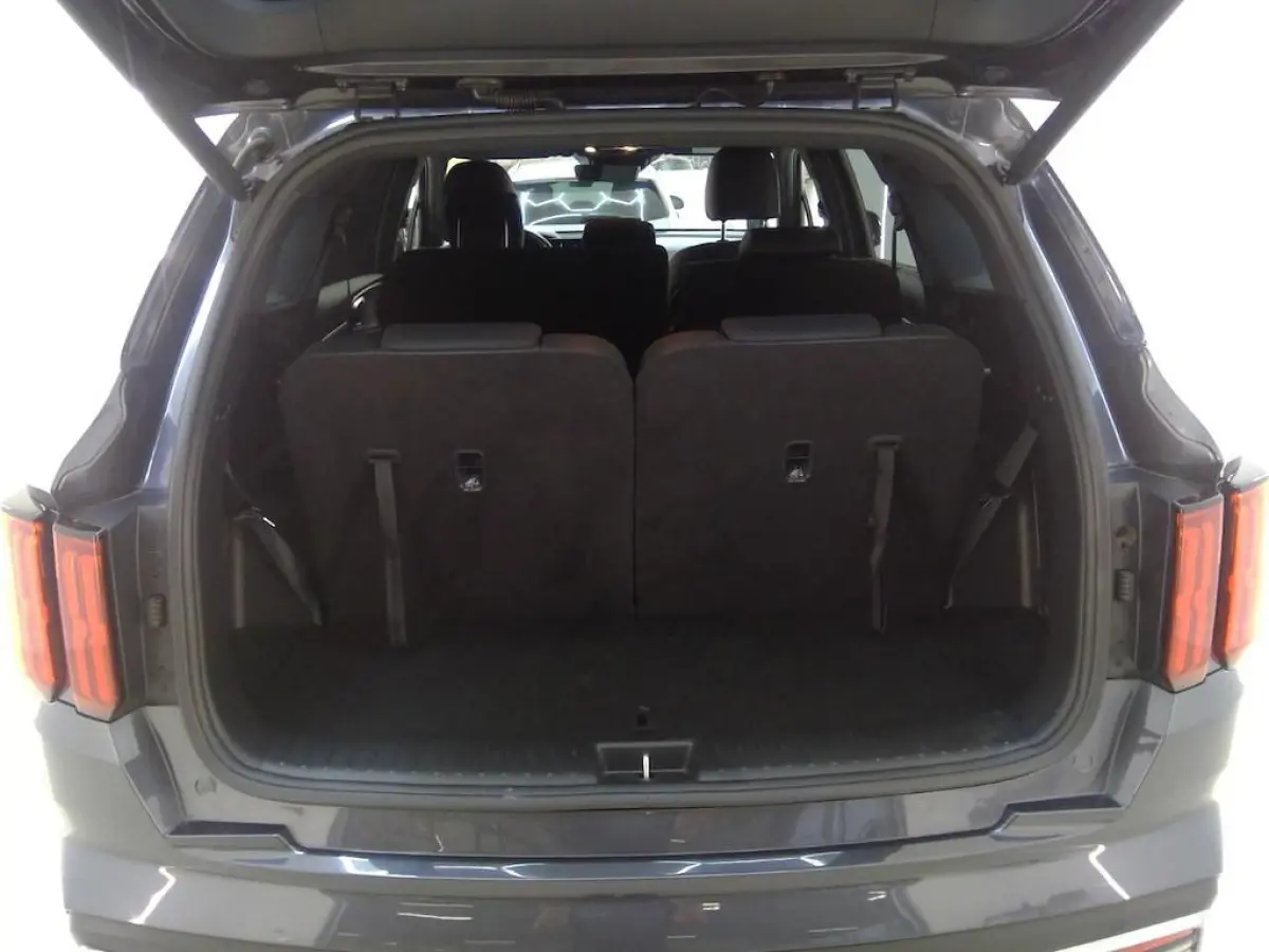 1.6 T-GDI HYBRID 2WD EXECUTIVELINE 7-PERS I LEDEREN BEKLEDING I P-CAMERA I STOELKOELING I APPLE CARPLAY