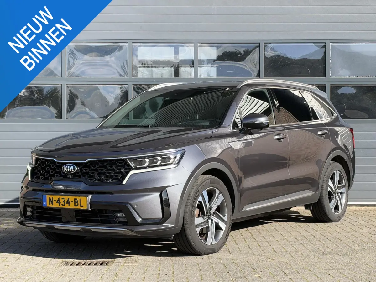 1.6 T-GDI HYBRID 2WD EXECUTIVELINE 7-PERS I LEDEREN BEKLEDING I P-CAMERA I STOELKOELING I APPLE CARPLAY