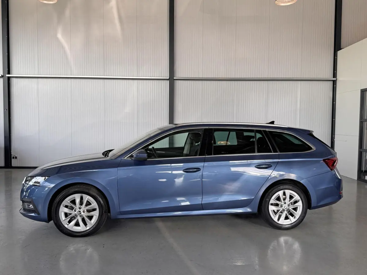 1.0 TSI E-Tec 81kW MHEV Business Edition Plus DSG