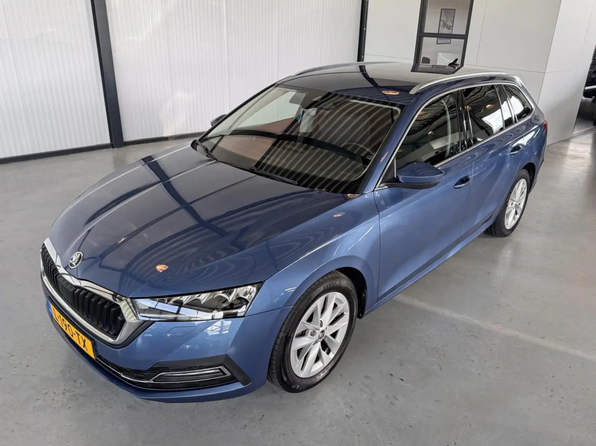 1.0 TSI E-Tec 81kW MHEV Business Edition Plus DSG