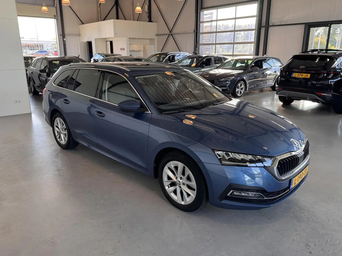 1.0 TSI E-Tec 81kW MHEV Business Edition Plus DSG