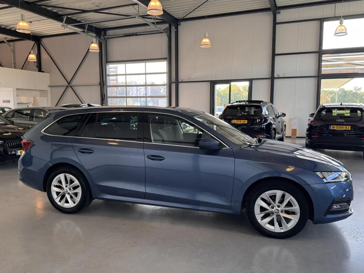 1.0 TSI E-Tec 81kW MHEV Business Edition Plus DSG