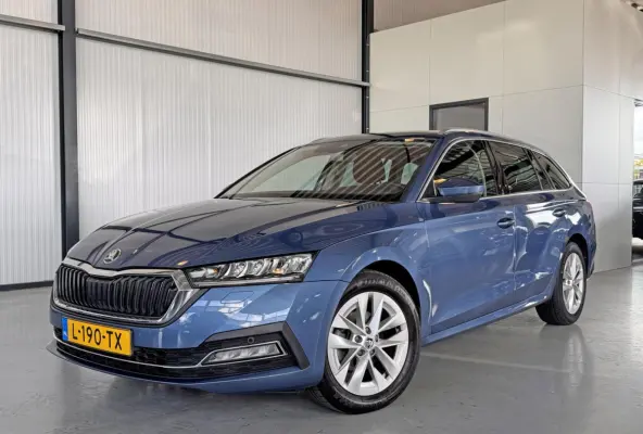 1.0 TSI E-Tec 81kW MHEV Business Edition Plus DSG