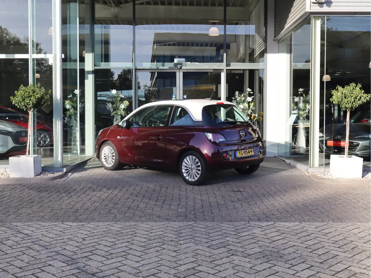 1.0 Turbo Glam Favourite Pano / Airco / Apple -  Android / LM-Velgen / Cruise