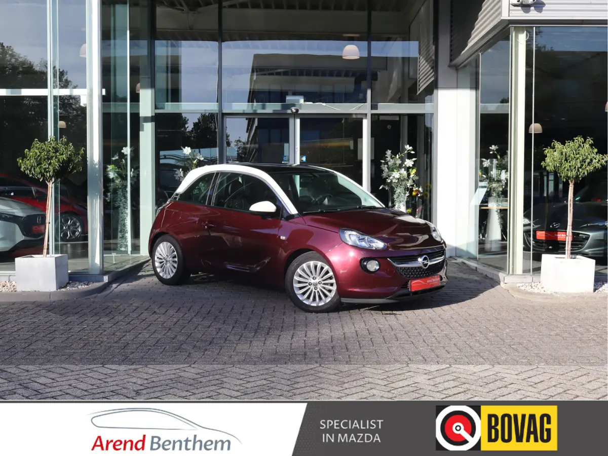 1.0 Turbo Glam Favourite Pano / Airco / Apple -  Android / LM-Velgen / Cruise