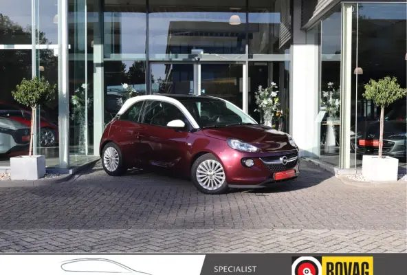 1.0 Turbo Glam Favourite Pano / Airco / Apple -  Android / LM-Velgen / Cruise