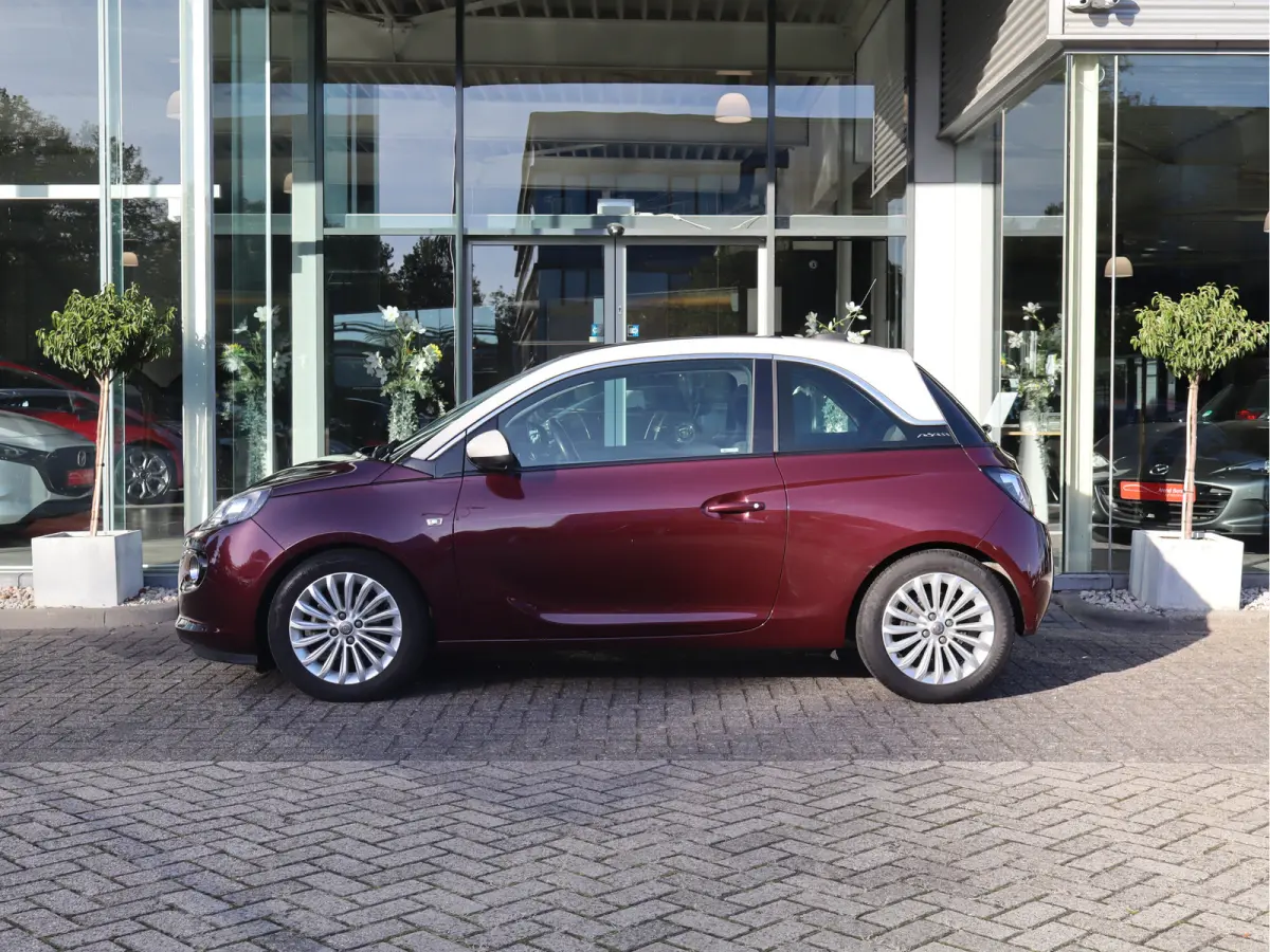 1.0 Turbo Glam Favourite Pano / Airco / Apple -  Android / LM-Velgen / Cruise