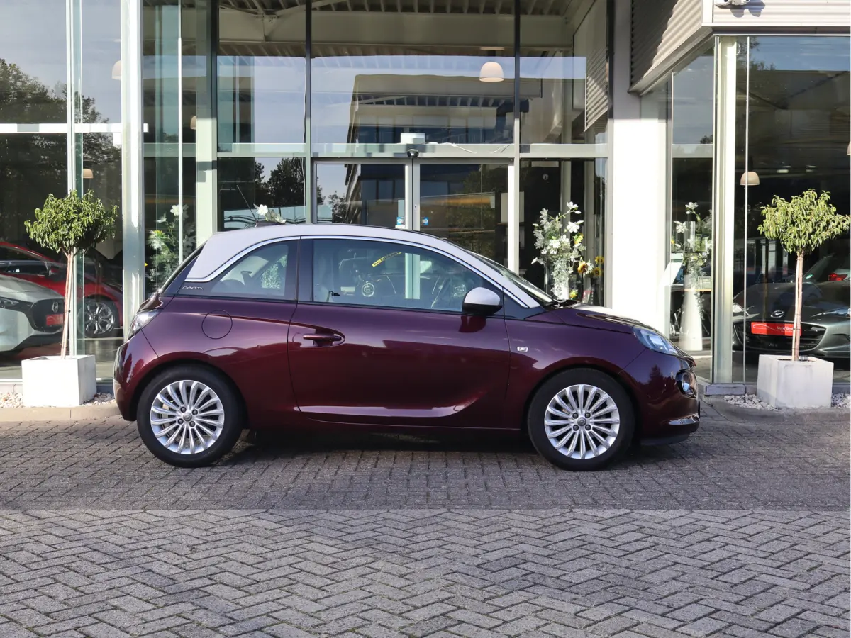 1.0 Turbo Glam Favourite Pano / Airco / Apple -  Android / LM-Velgen / Cruise