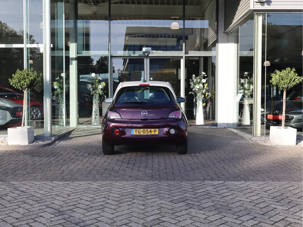 1.0 Turbo Glam Favourite Pano / Airco / Apple -  Android / LM-Velgen / Cruise