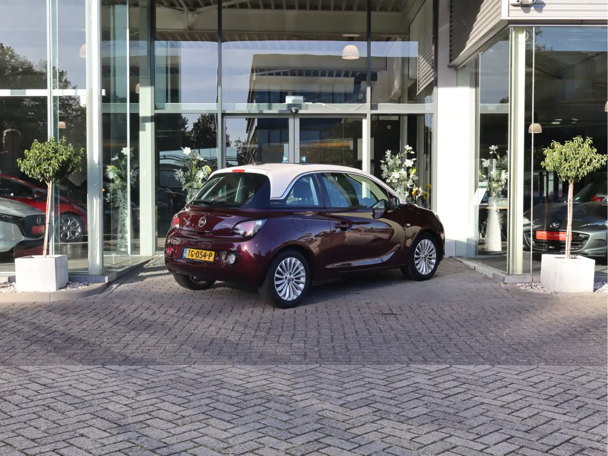 1.0 Turbo Glam Favourite Pano / Airco / Apple -  Android / LM-Velgen / Cruise
