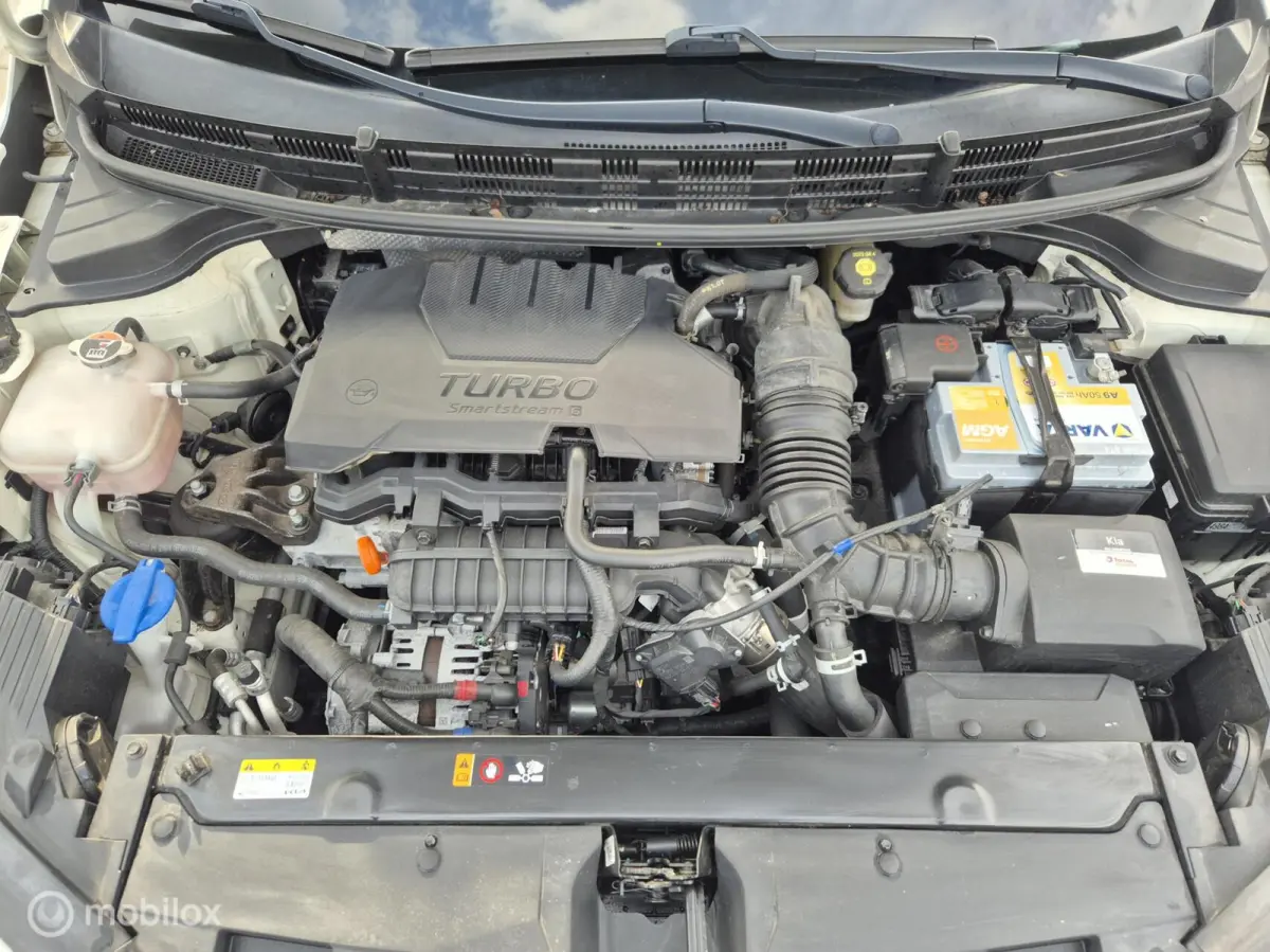 1.0 T-GDi MHEV DynamicLine, Camera, Carplay, NAP!