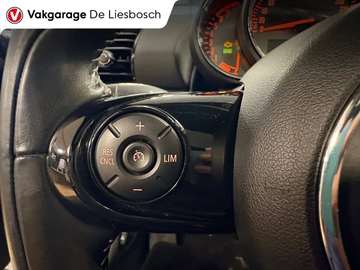 1.5 Cooper Chili Serious Business/leer/navi/pano/stoelverw/boeken