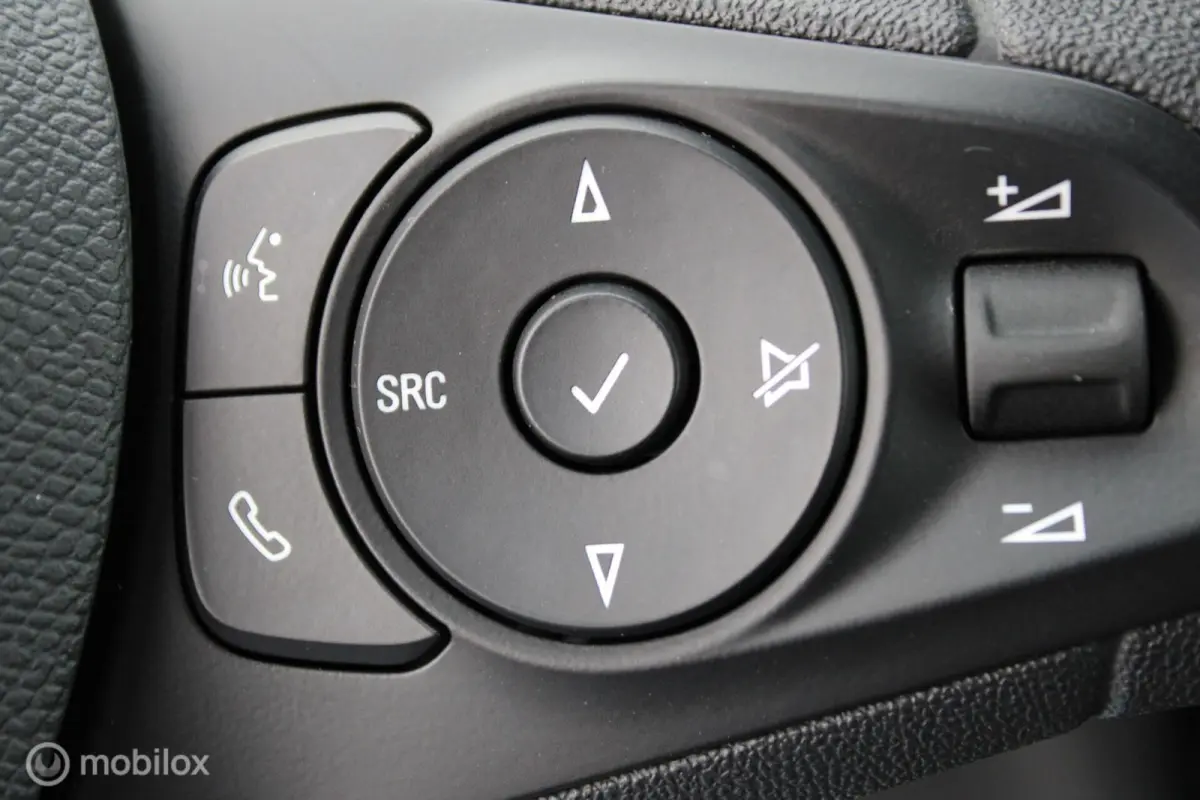 Edition 50 kWh, Pdc, Zwart dak en donker glas, Cruise, Clima, Navi/app connect