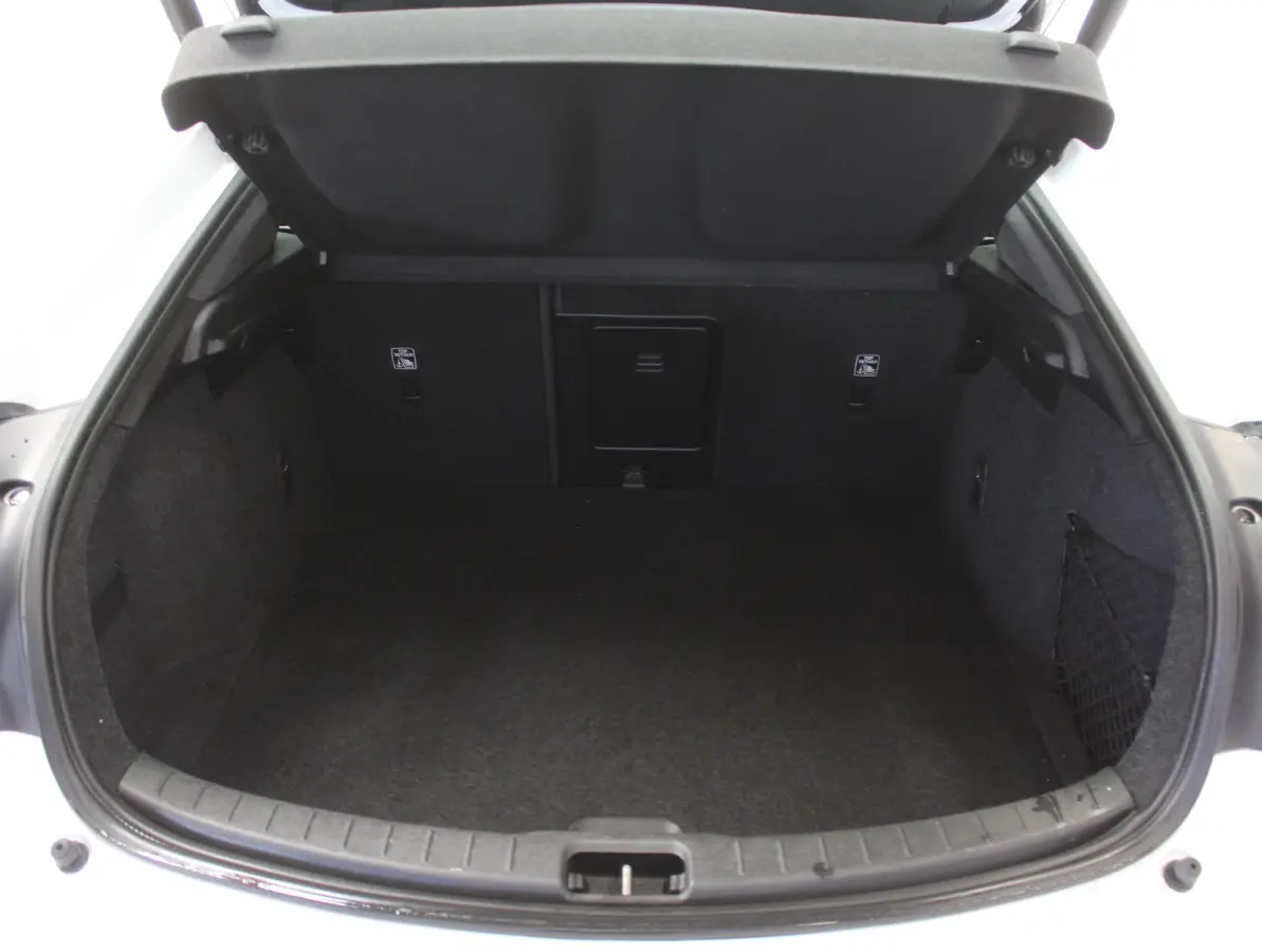 Standard Range Single Motor 69 kWh PILOTPACK | SOH 95% | CARPLAY | 360CAMERA | ADAPCRUISE | WEGKLAPTRHAAK | LMV19 | CLIMATE | STOELVERW | MEMSTOEL | DAB | LED