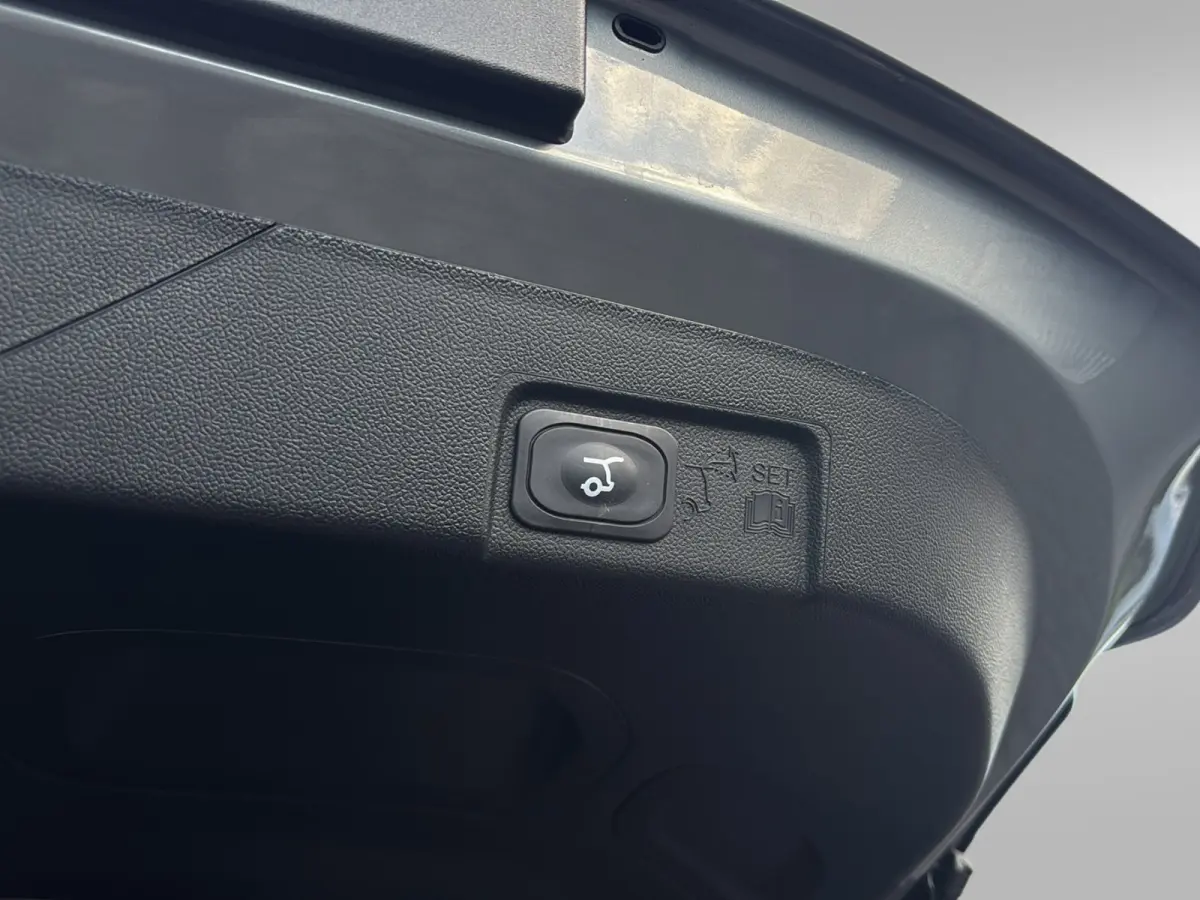 1.0 ST 170pk! | Org. NL | Pano | Nieuw Model | B&O Audio | Winterpakket | Adap. Cruise