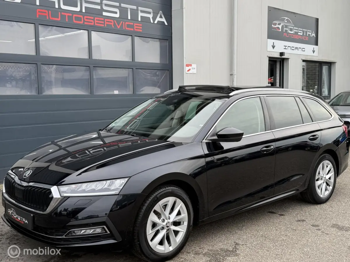 1.0 TSI Business Edition Plus Pano Trekhk
