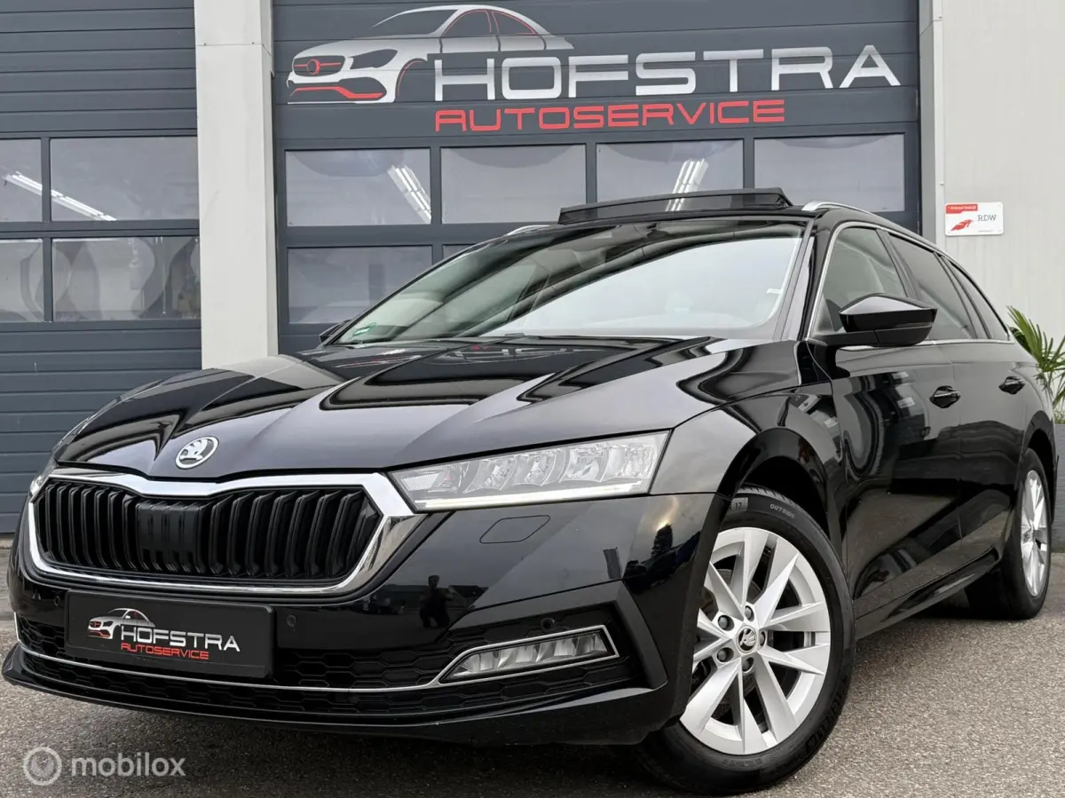 1.0 TSI Business Edition Plus Pano Trekhk